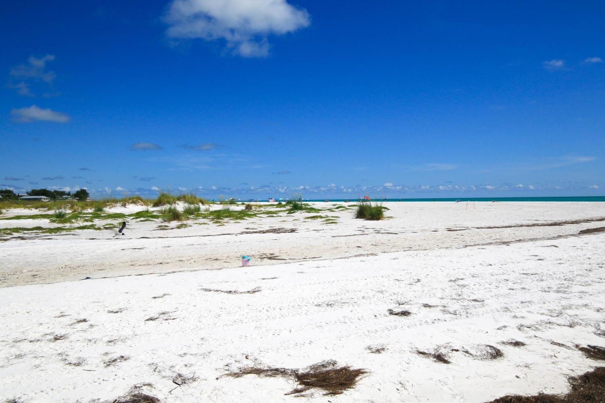Anna Maria Island Runaway Tropical Dream-One Minute Walk To The Beach-Heated Pool Брадентон-Бич Экстерьер фото
